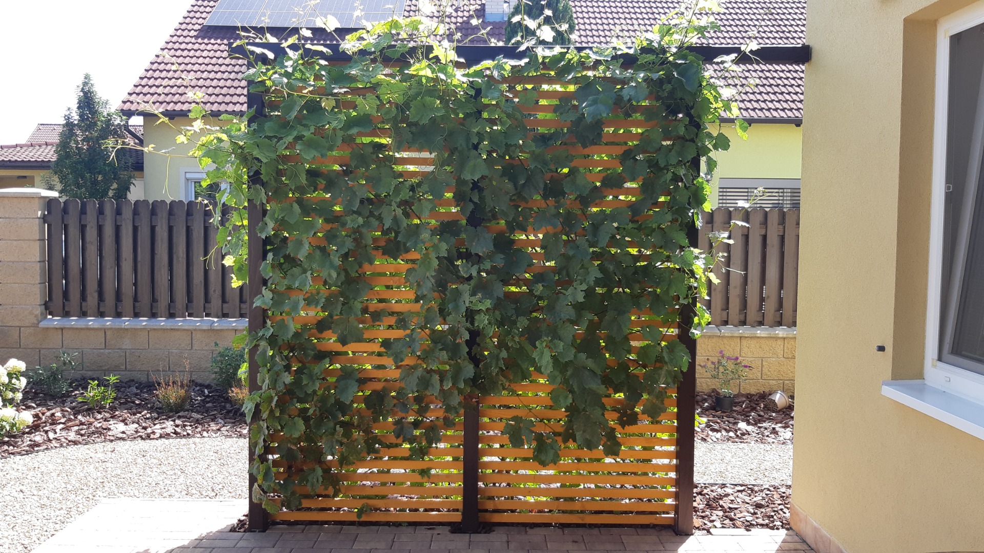 Výroba dřevěné stěny porostlé vínem